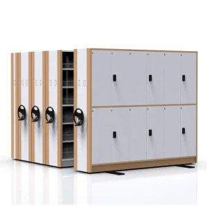 Mobile Shelving